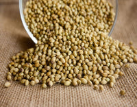 Coriander Seed